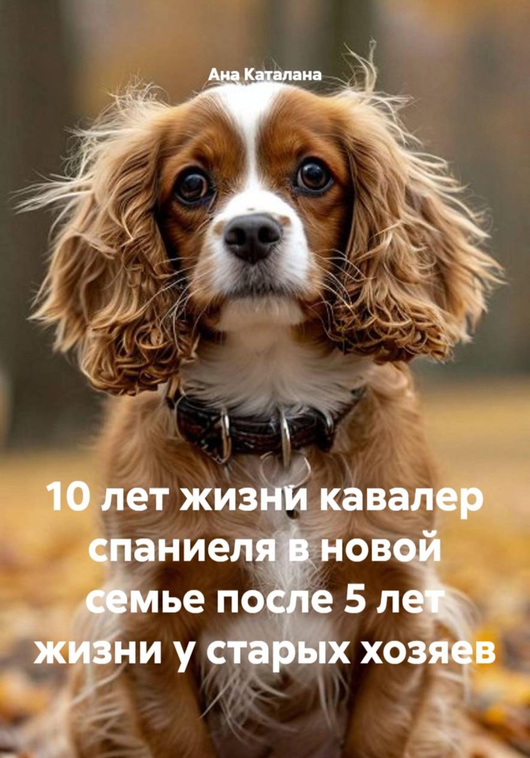 Обложка книги «10 лет жизни кавалер спаниеля в новой семье после 5 лет жизни у старых хозяев»