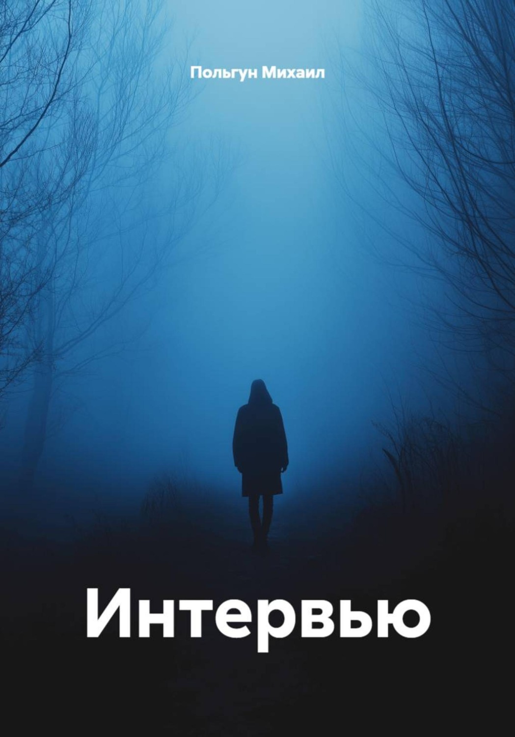 Обложка книги «Интервью»