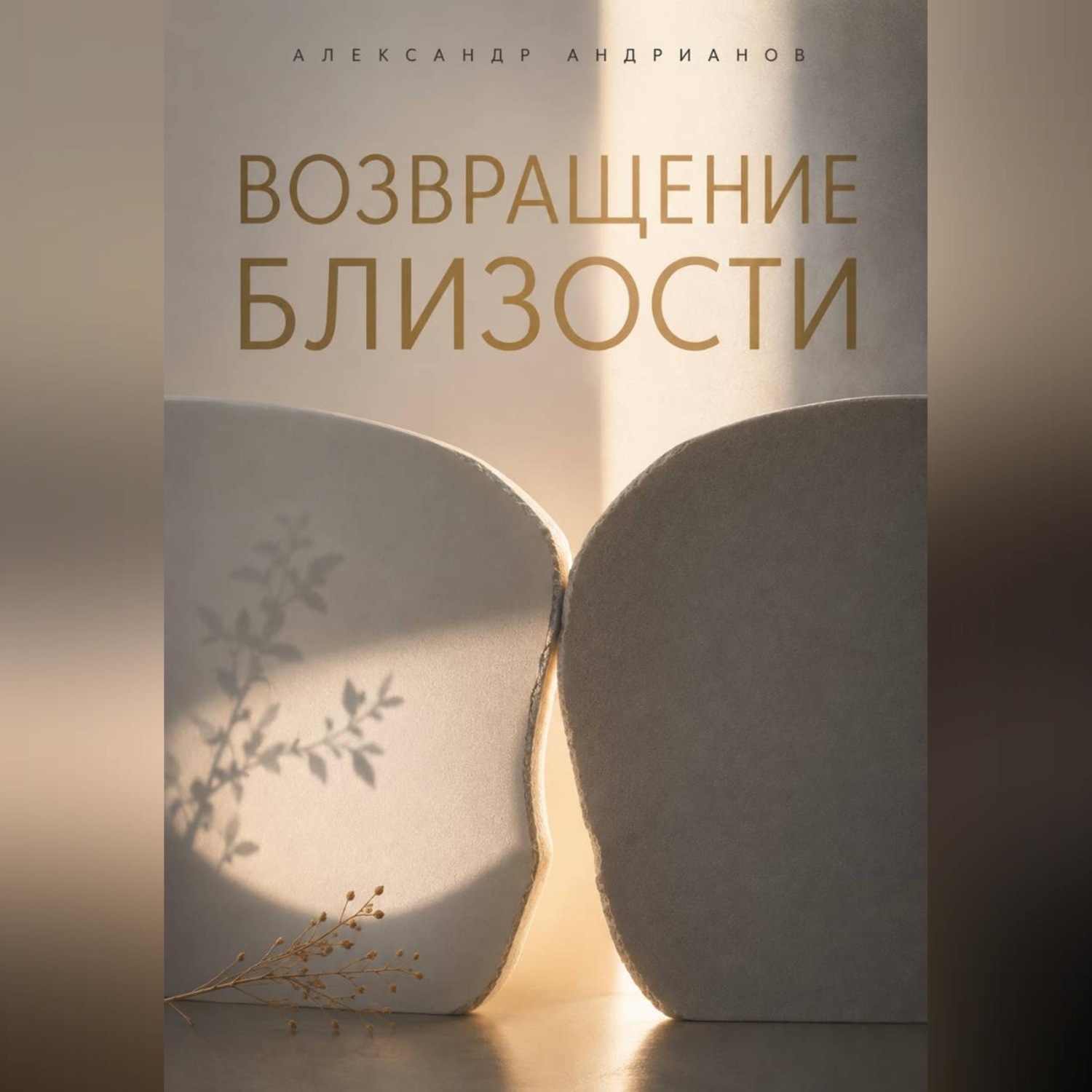 Обложка книги «Неодиночество. Возвращение к близости»