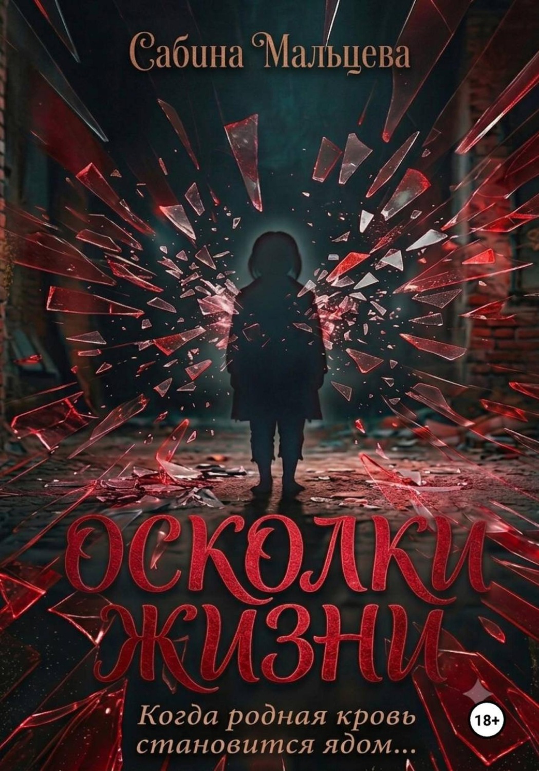 Обложка книги «Осколки Жизни»