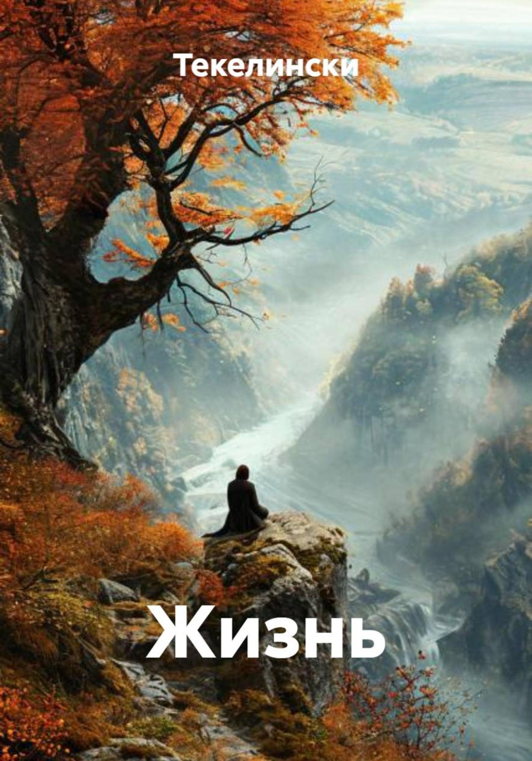 Обложка книги «Жизнь»