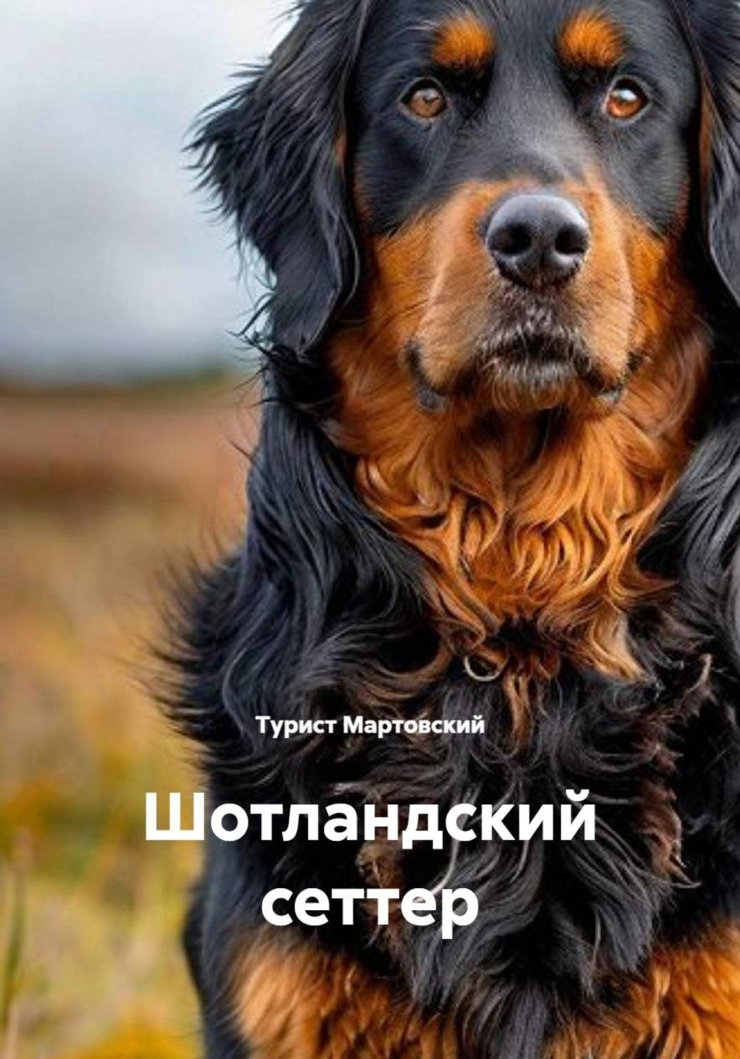 Обложка книги «Шотландский сеттер»