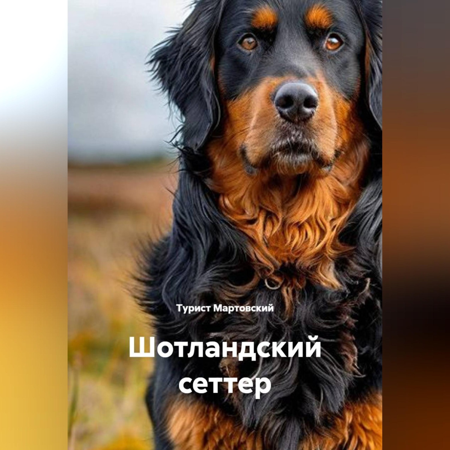 Обложка книги «Шотландский сеттер»