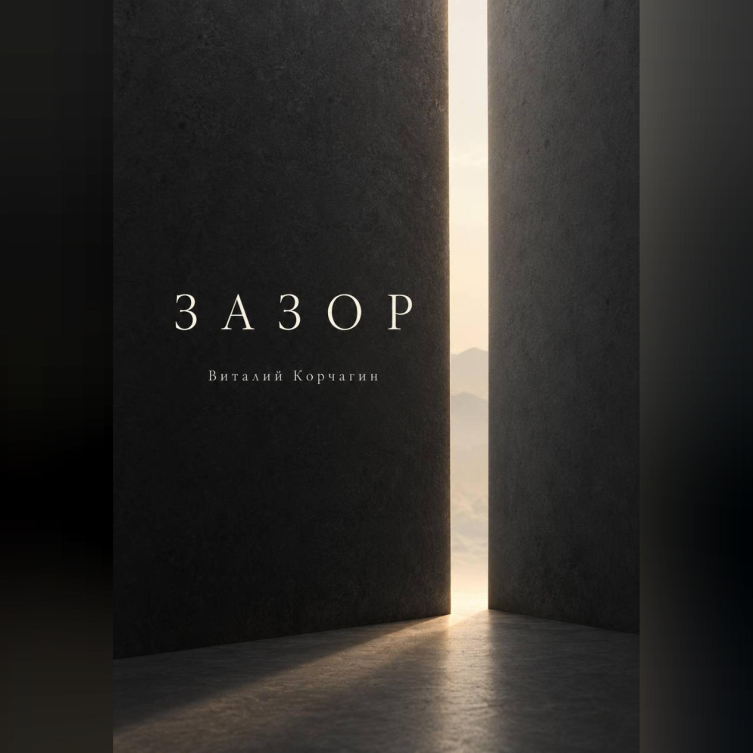 Обложка книги «Зазор»