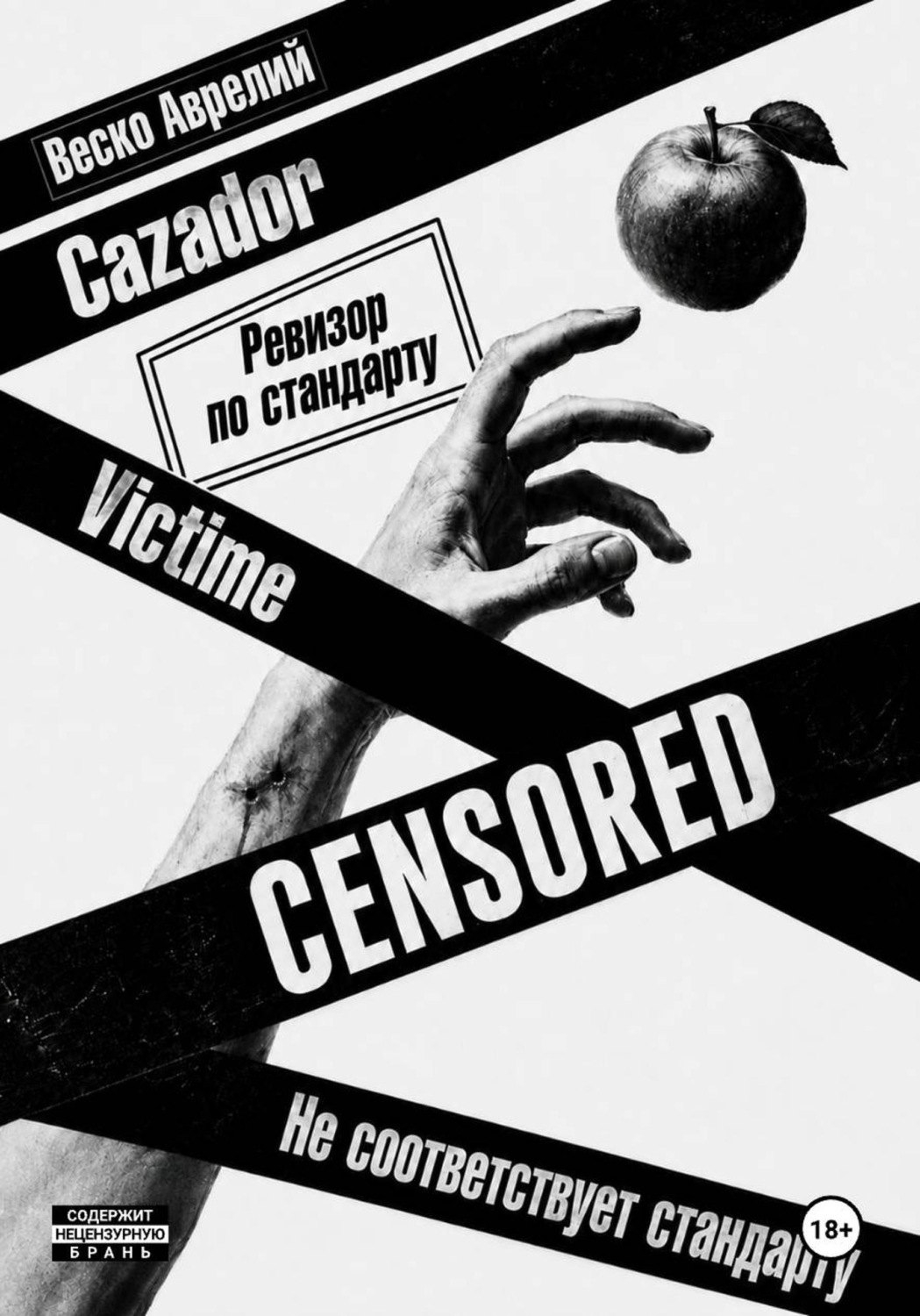 Обложка книги «Ревизор по стандарту»