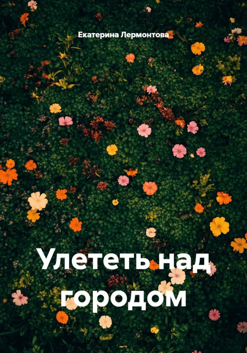 Обложка книги «Улететь над городом»