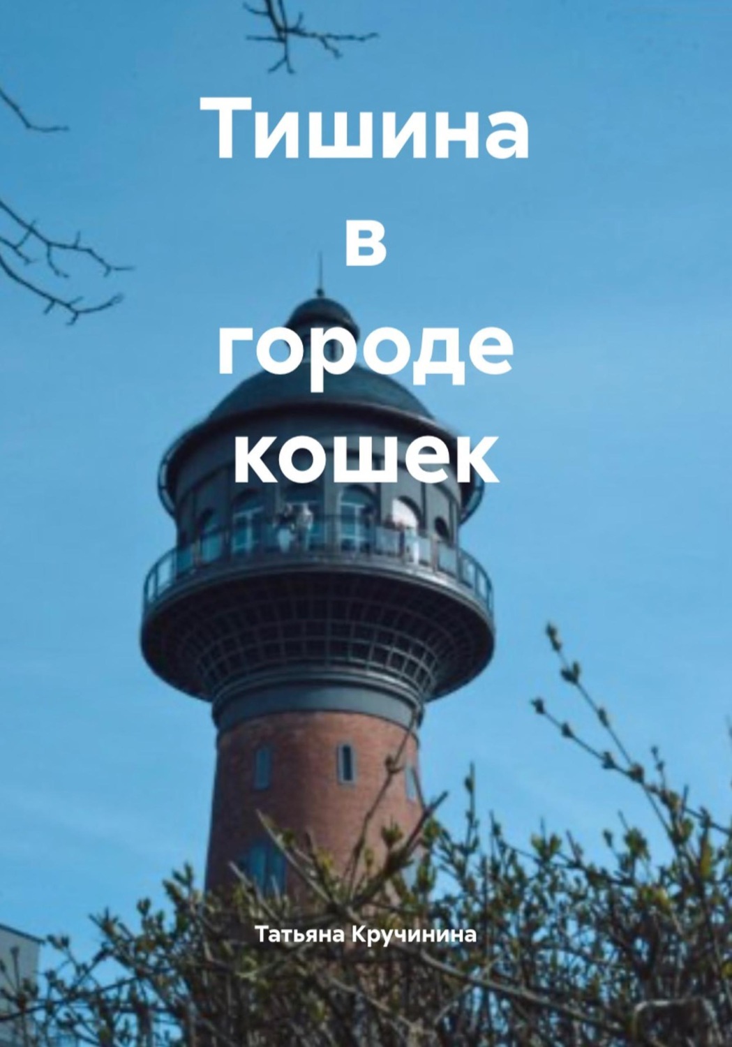 Обложка книги «Тишина в городе кошек»