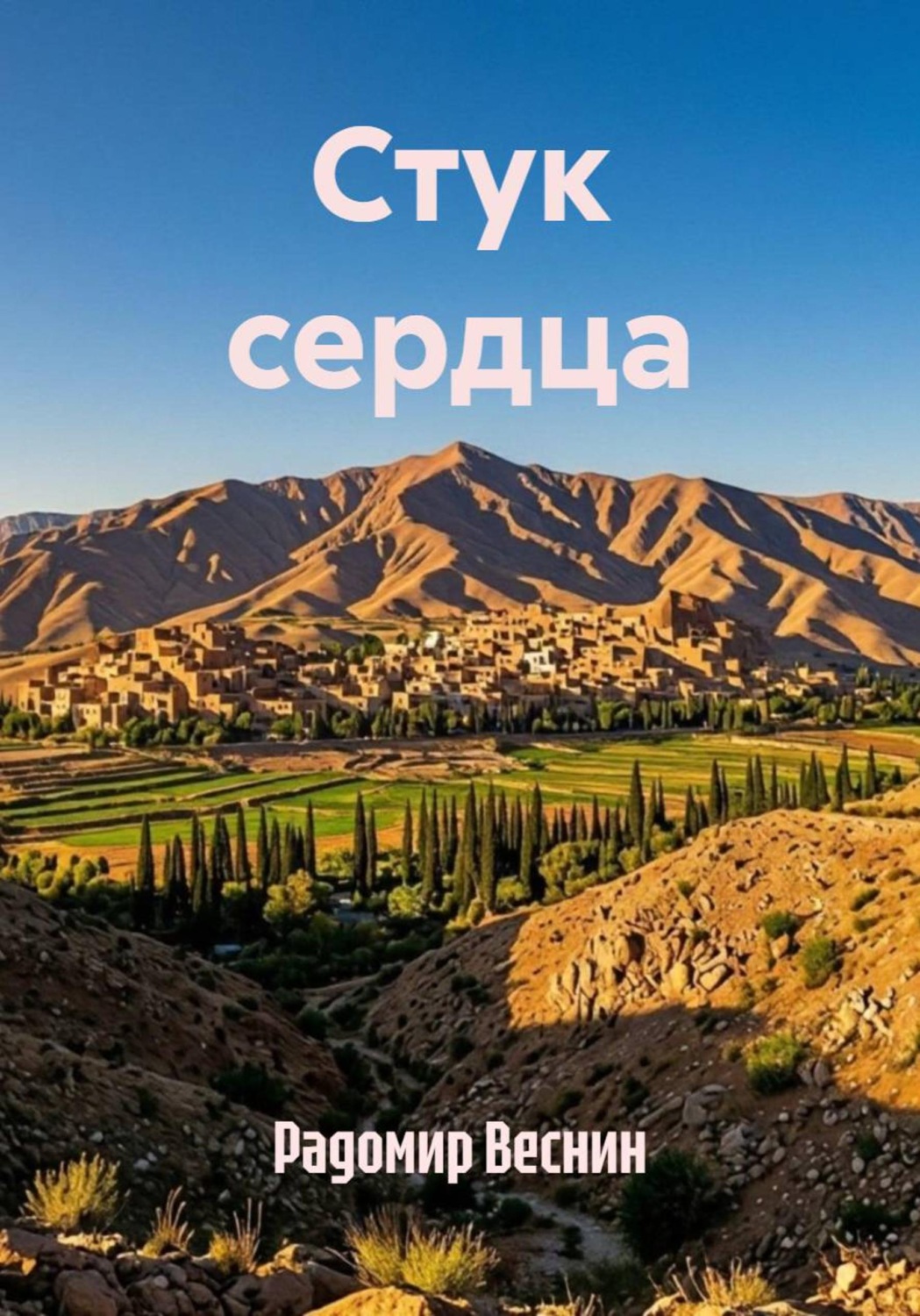Обложка книги «Стук сердца»