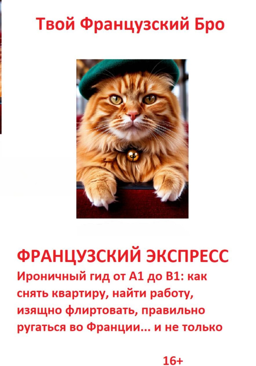 Обложка книги «Французский экспресс: Ироничный гид от А1 до В1: как снять квартиру, найти работу, изящно флиртовать, правильно ругаться во Франции... и не только»