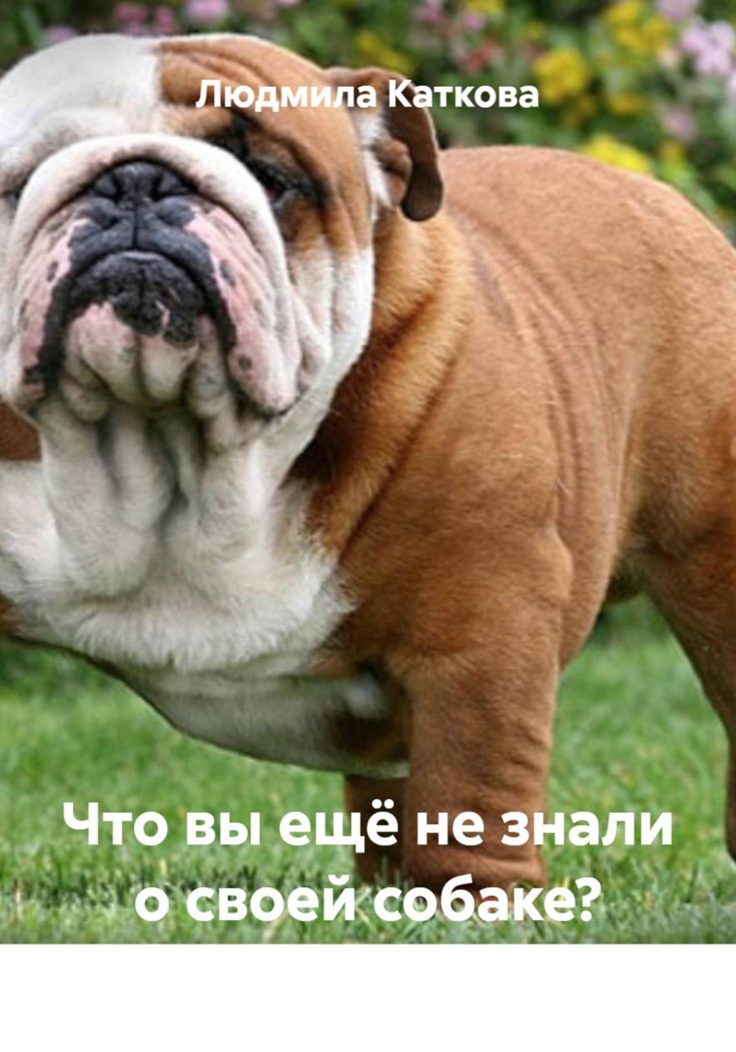 Обложка книги «Что вы ещё не знали о своей собаке?»