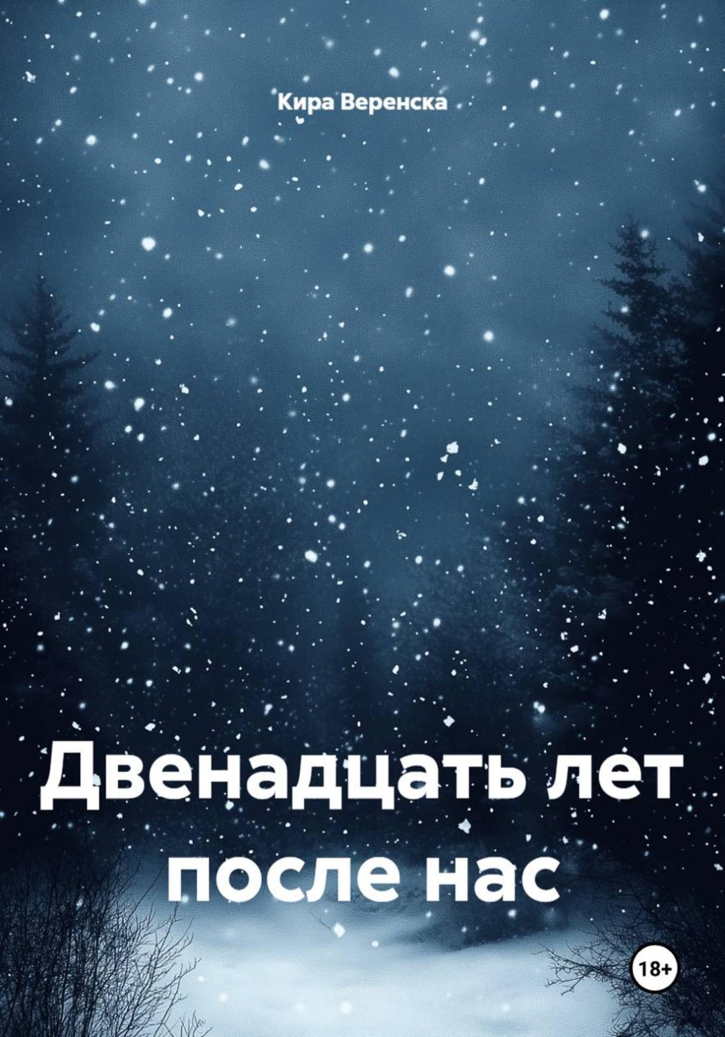Обложка книги «Двенадцать лет после нас»