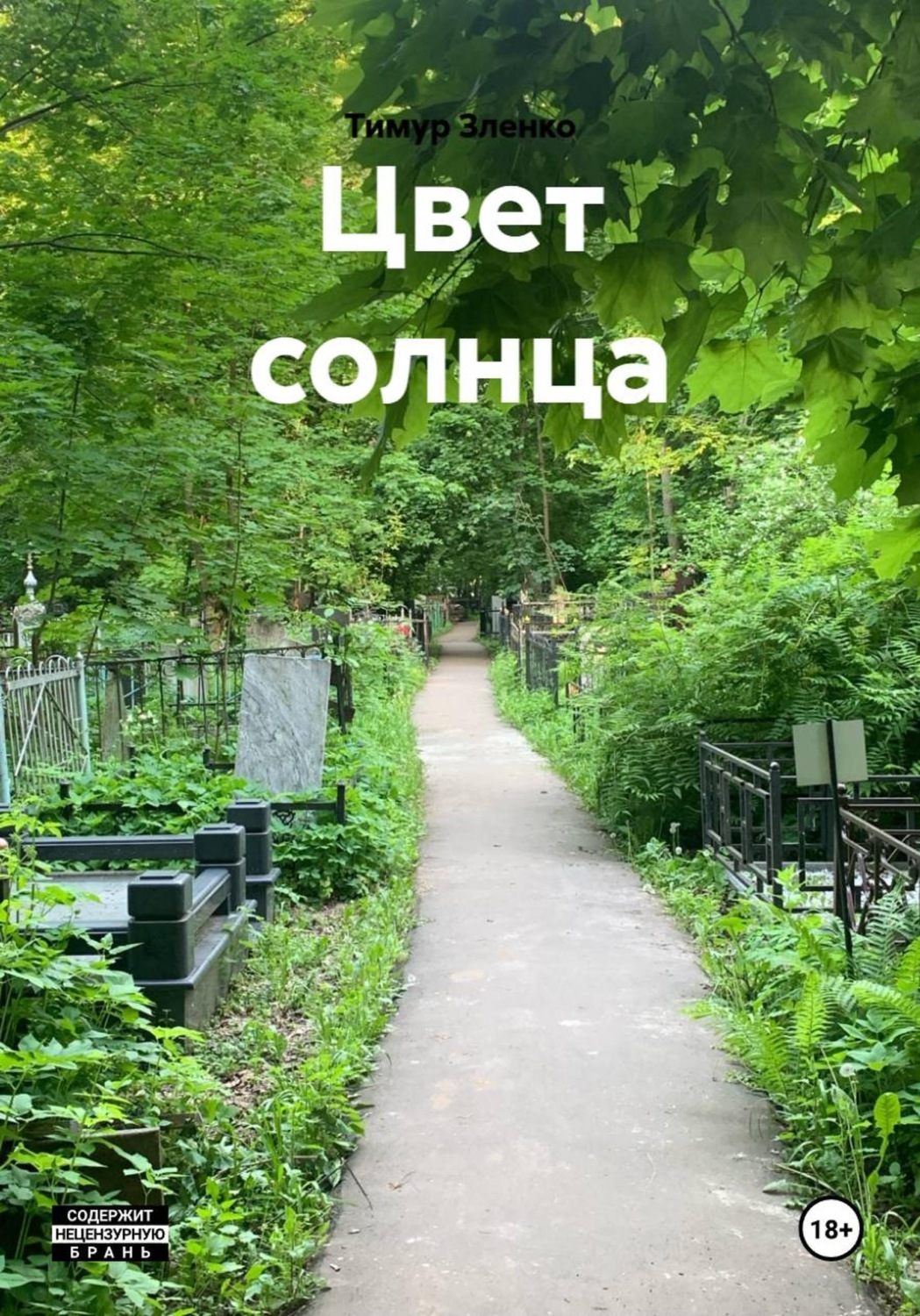 Обложка книги «Цвет солнца»