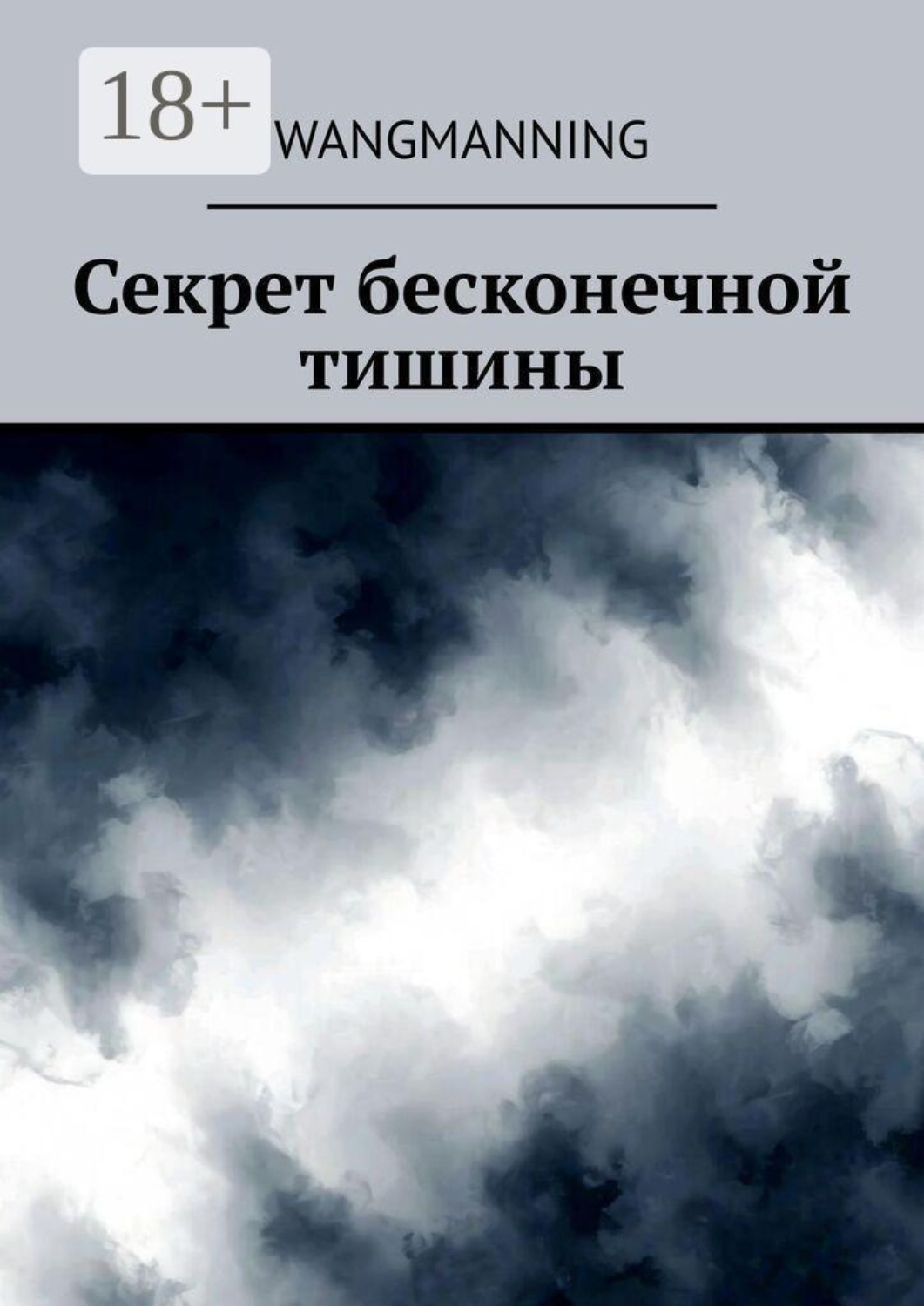 Обложка книги «Секрет бесконечной тишины»