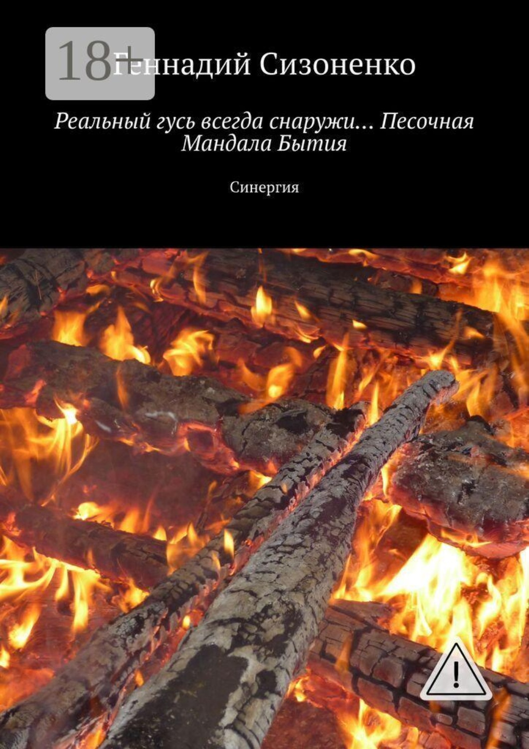 Обложка книги «Реальный гусь всегда снаружи… Песочная Мандала Бытия. Синергия»