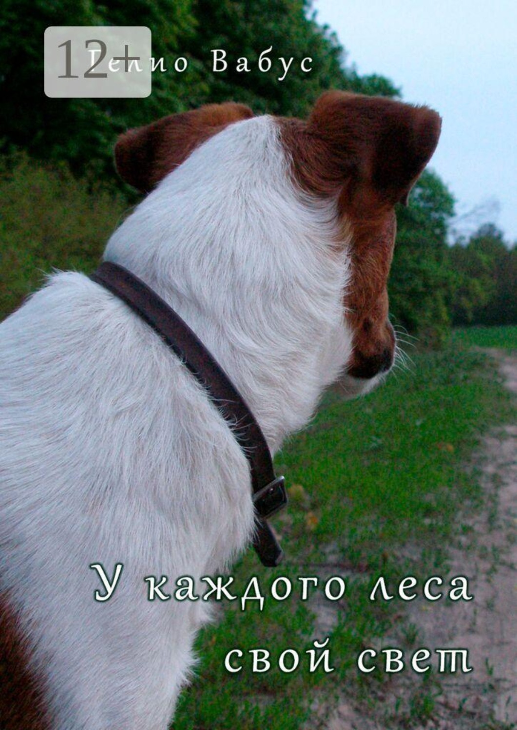 Обложка книги «У каждого леса свой свет»