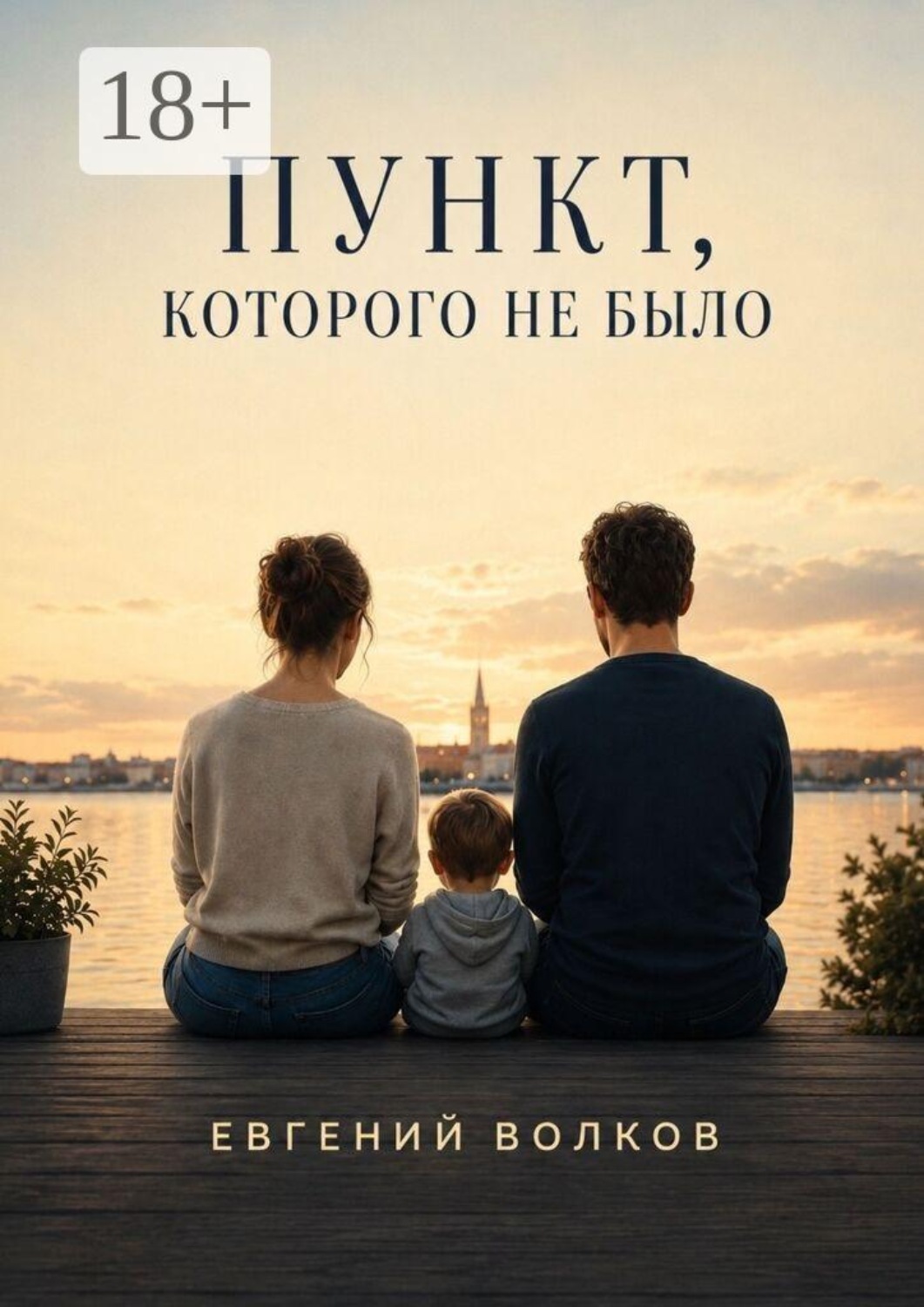 Обложка книги «Пункт, которого не было»