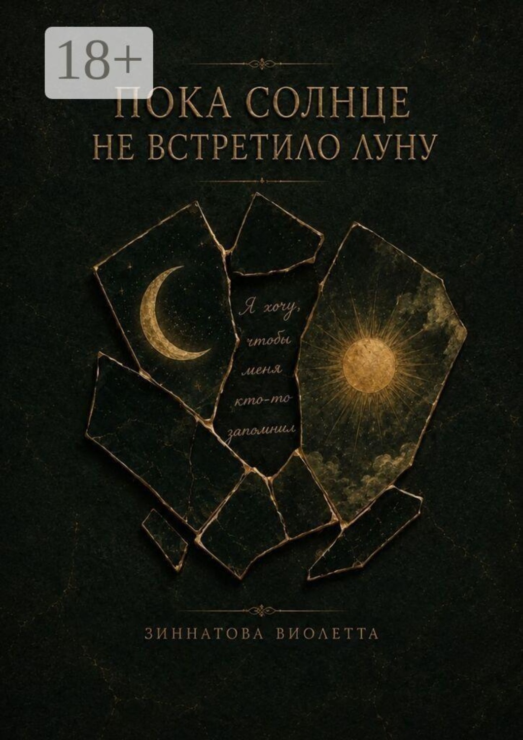 Обложка книги «Пока солнце не встретило луну»