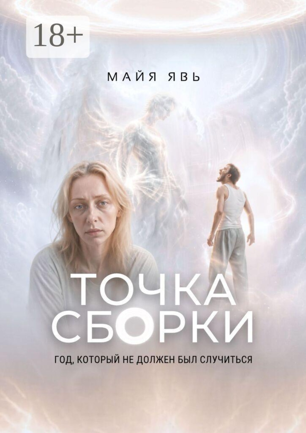 Обложка книги «Точка сборки»