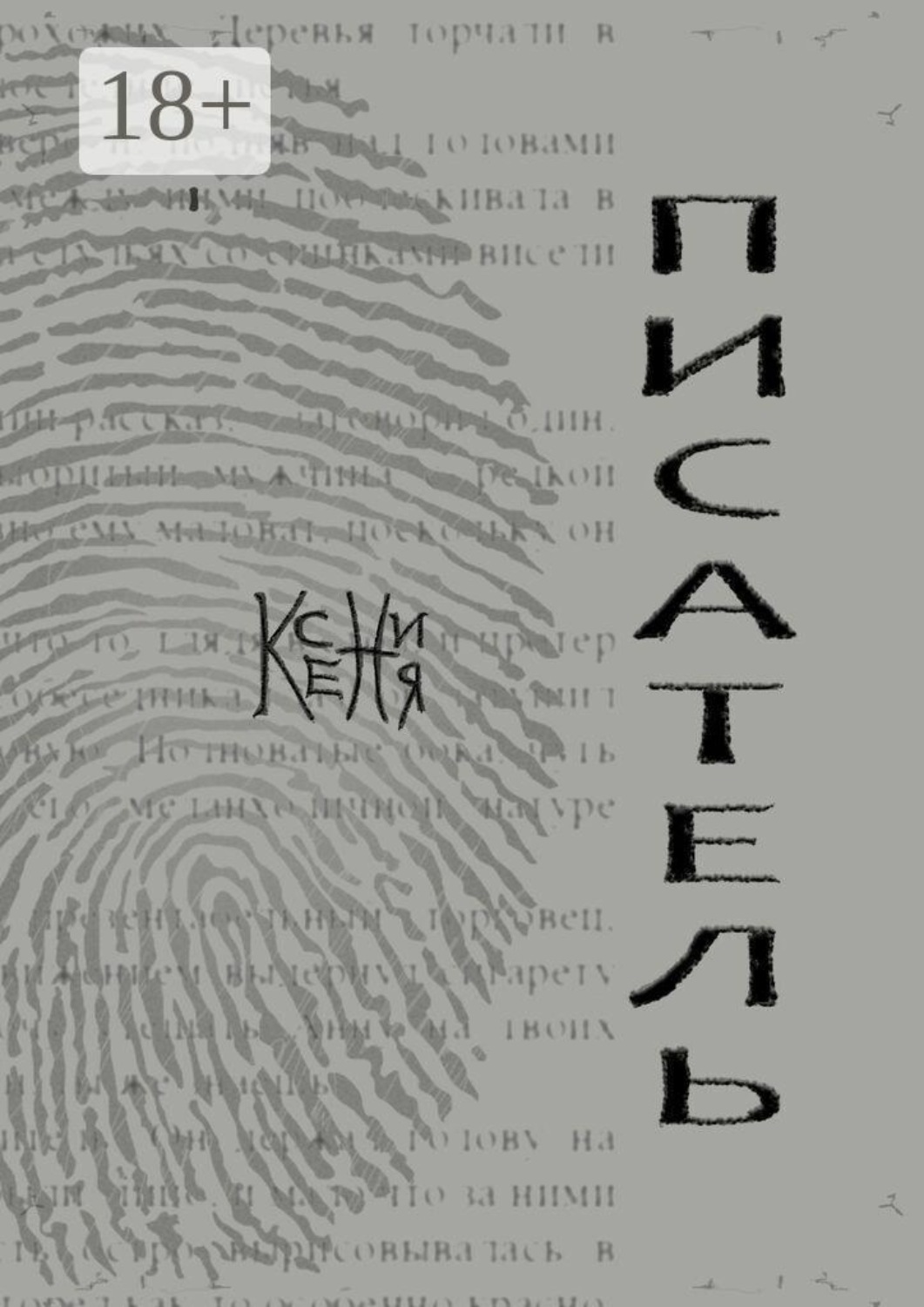 Обложка книги «Писатель»