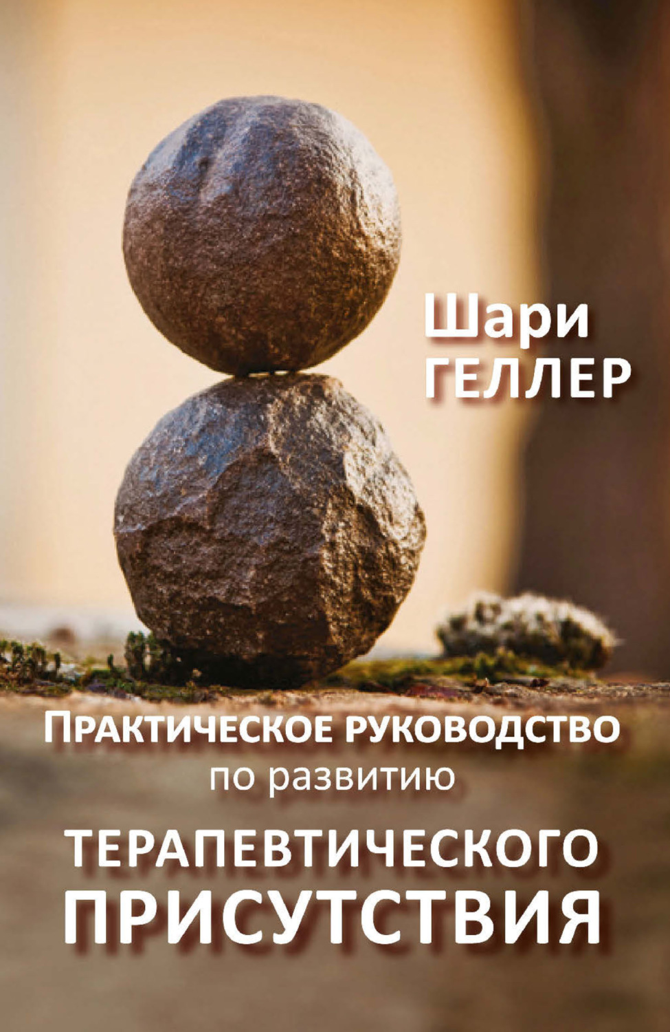 Обложка книги «Практическое руководство по развитию терапевтического присутствия»