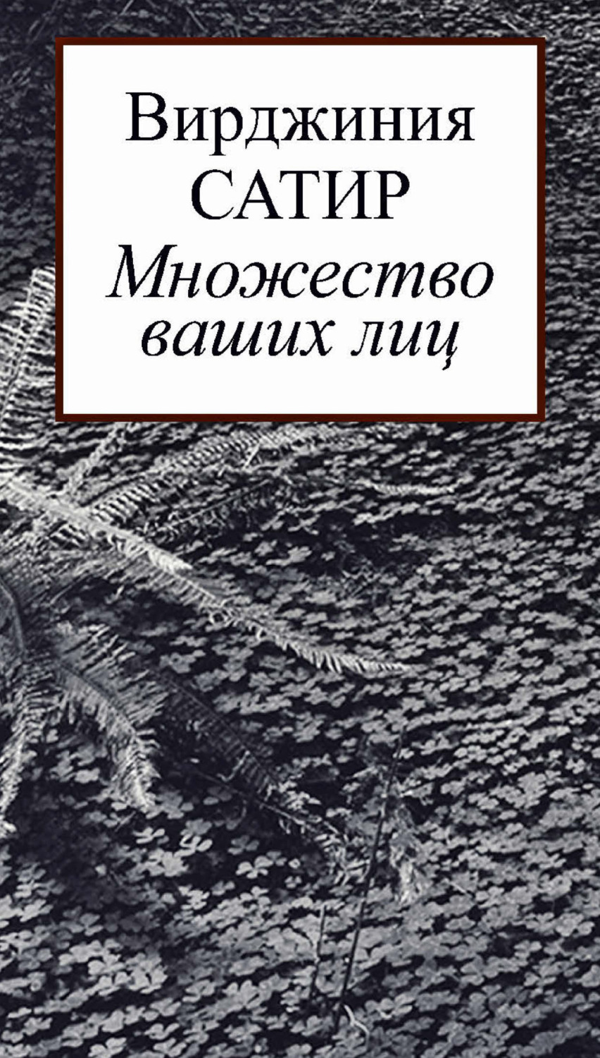 Обложка книги «Множество ваших лиц»