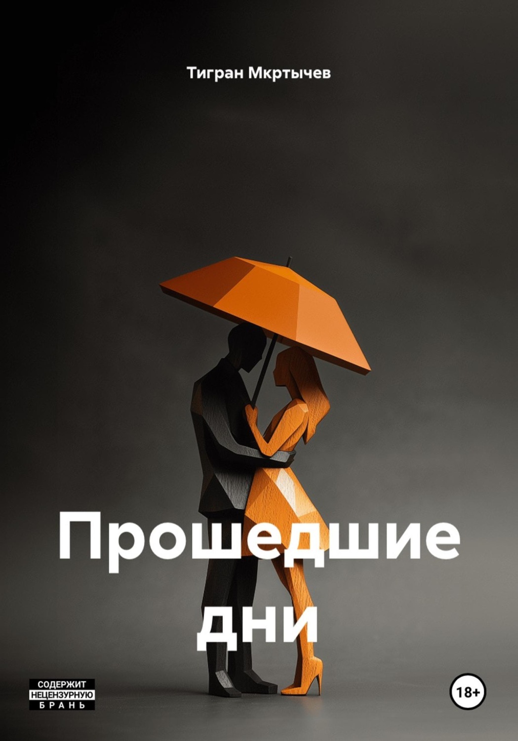 Обложка книги «Прошедшие дни»