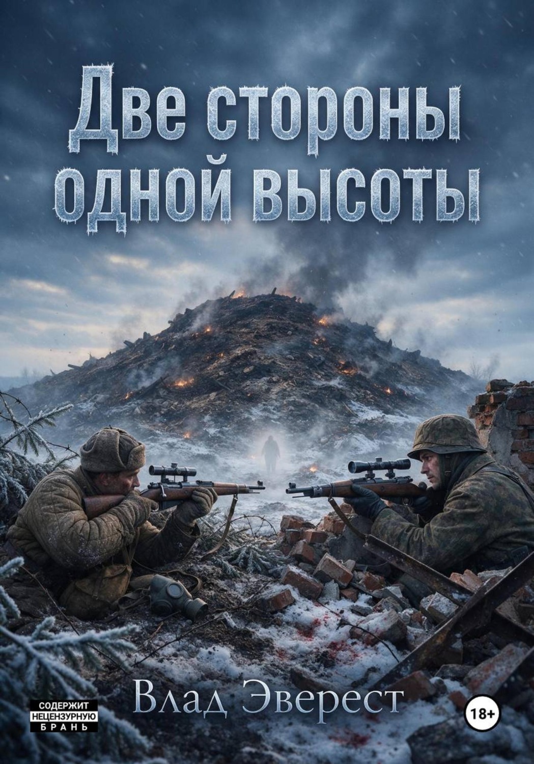 Обложка книги «Две стороны одной высоты»