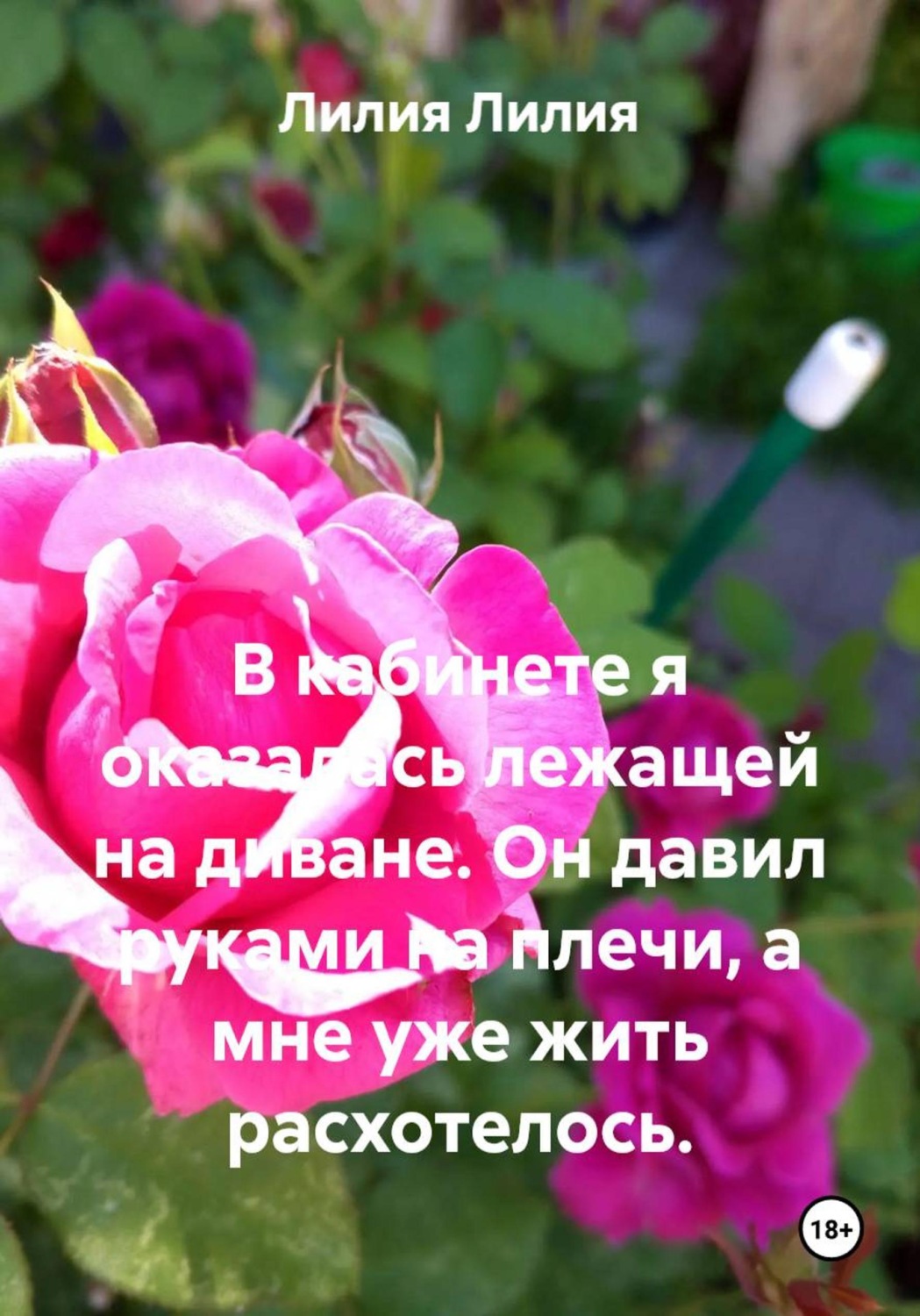 Обложка книги «В кабинете я оказалась лежащей на диване. Он давил руками на плечи, а мне уже жить расхотелось»