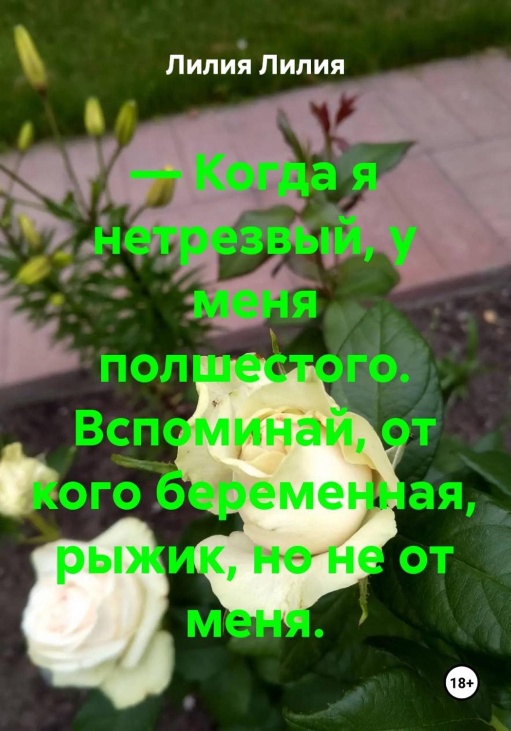 Обложка книги «— Когда я нетрезвый, у меня полшестого. Вспоминай, от кого беременная, рыжик, но не от меня»