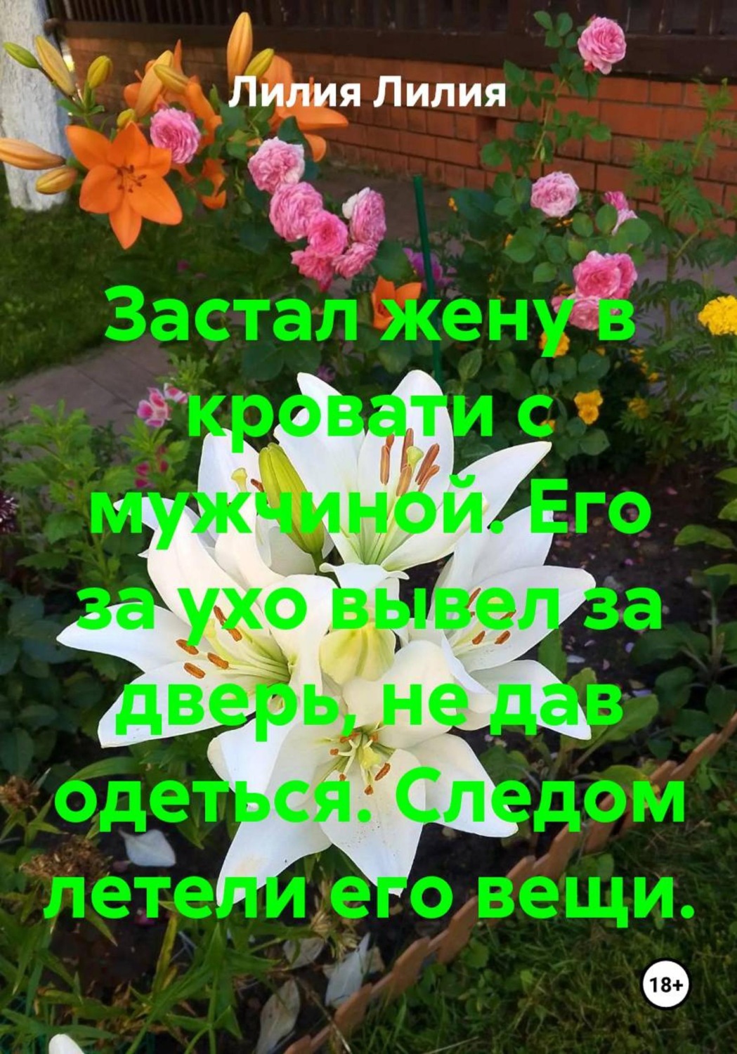Обложка книги «Застал жену в кровати с мужчиной. Его за ухо вывел за дверь, не дав одеться. Следом летели его вещи.»