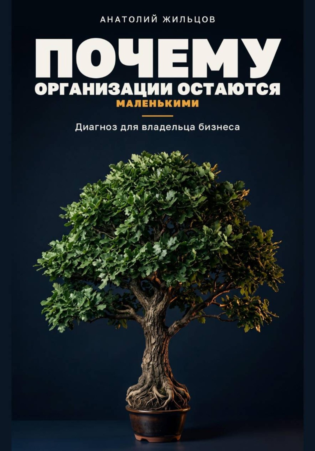 Обложка книги «Почему организации остаются маленькими»