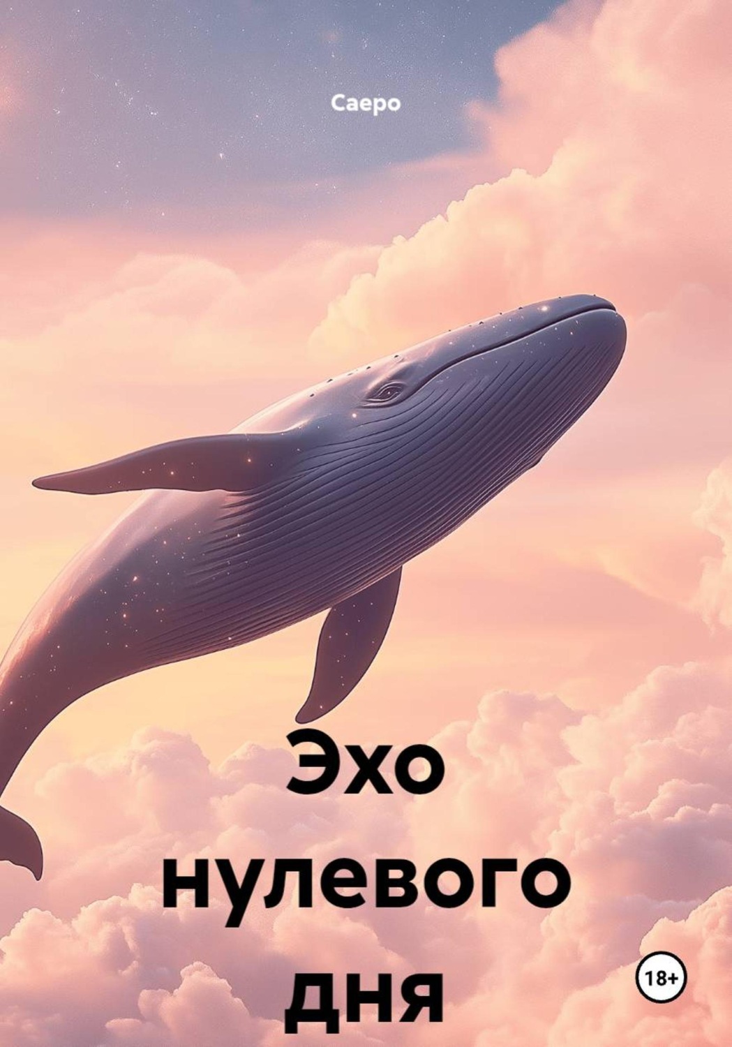 Обложка книги «Эхо нулевого дня»