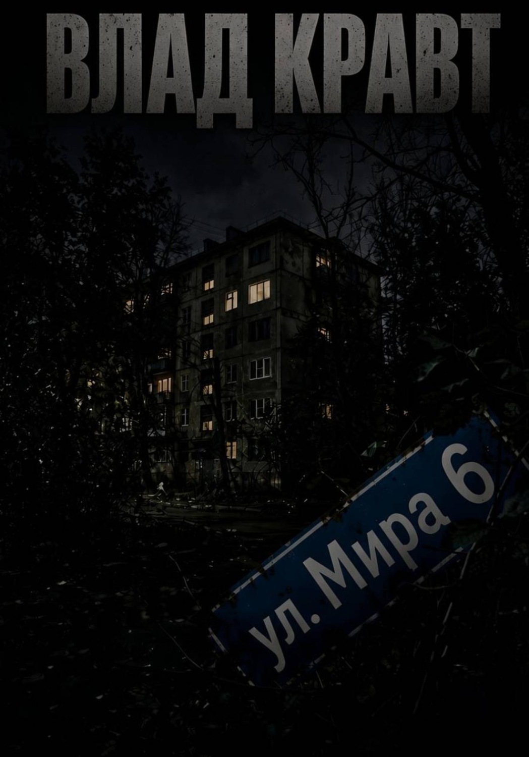 Обложка книги «ул. Мира 6»