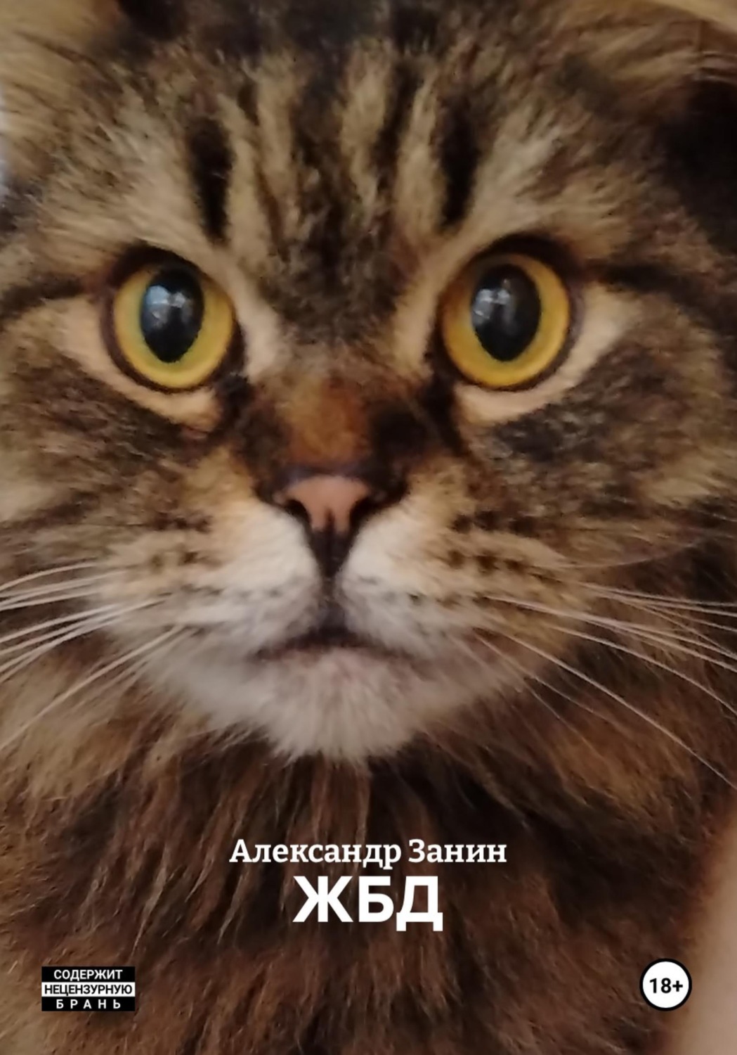 Обложка книги «ЖБД»