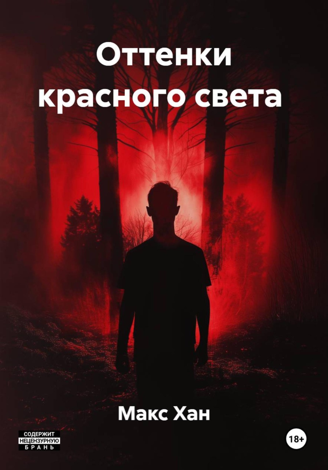 Обложка книги «Оттенки красного света»