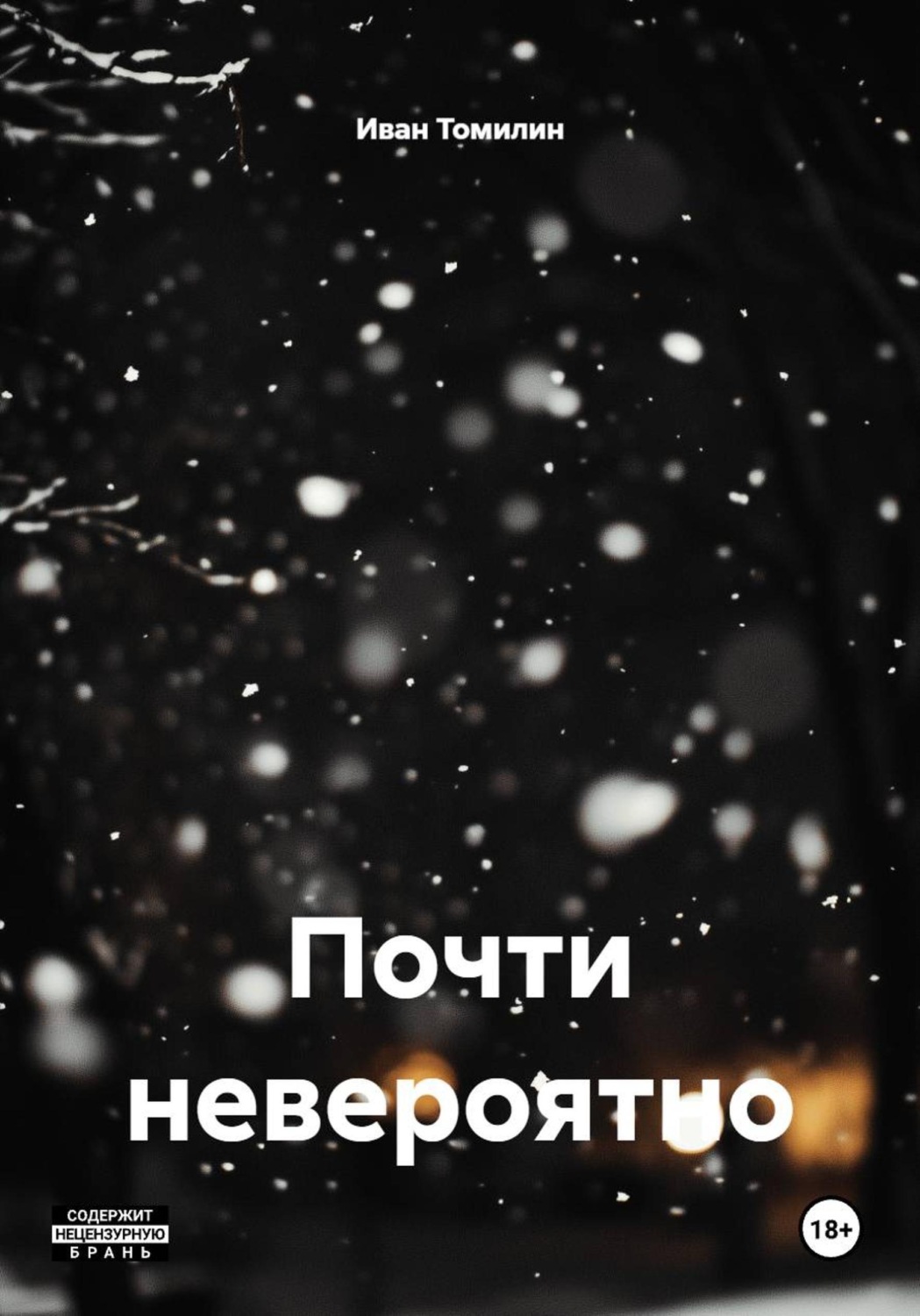 Обложка книги «Почти невероятно»