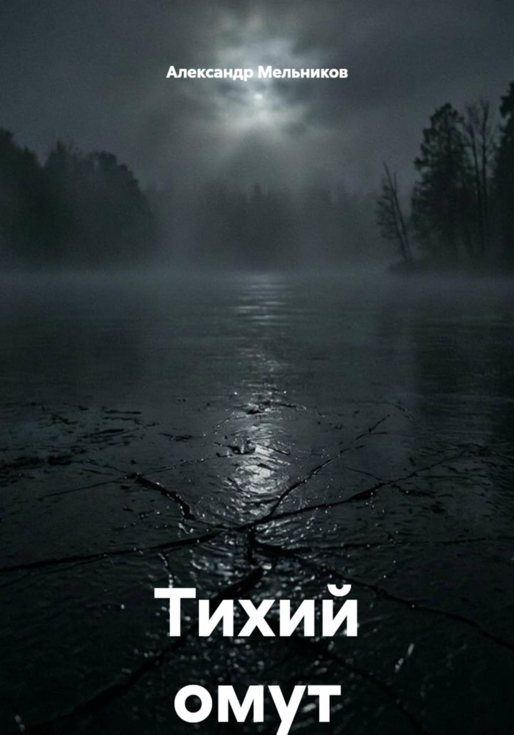 Обложка книги «Тихий омут»