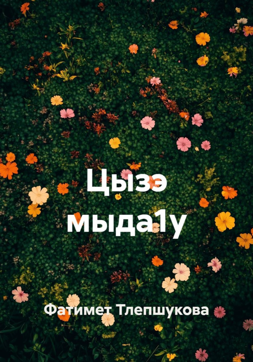 Обложка книги «Цызэ мыда1у»