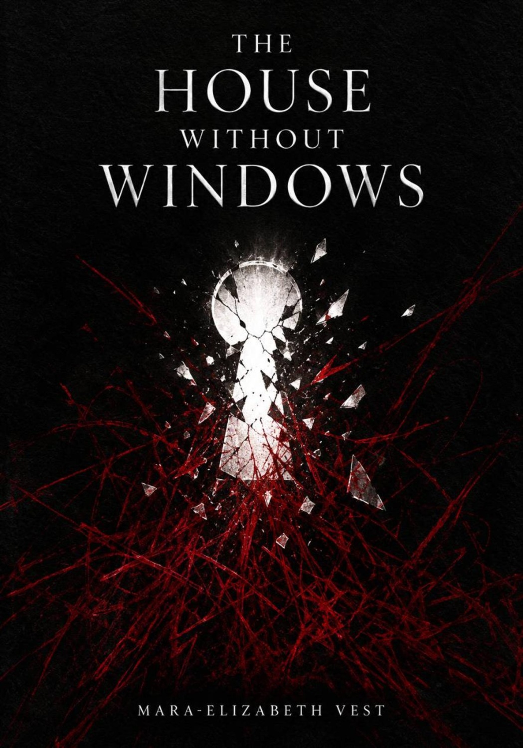 Обложка книги «The House Without Windows»