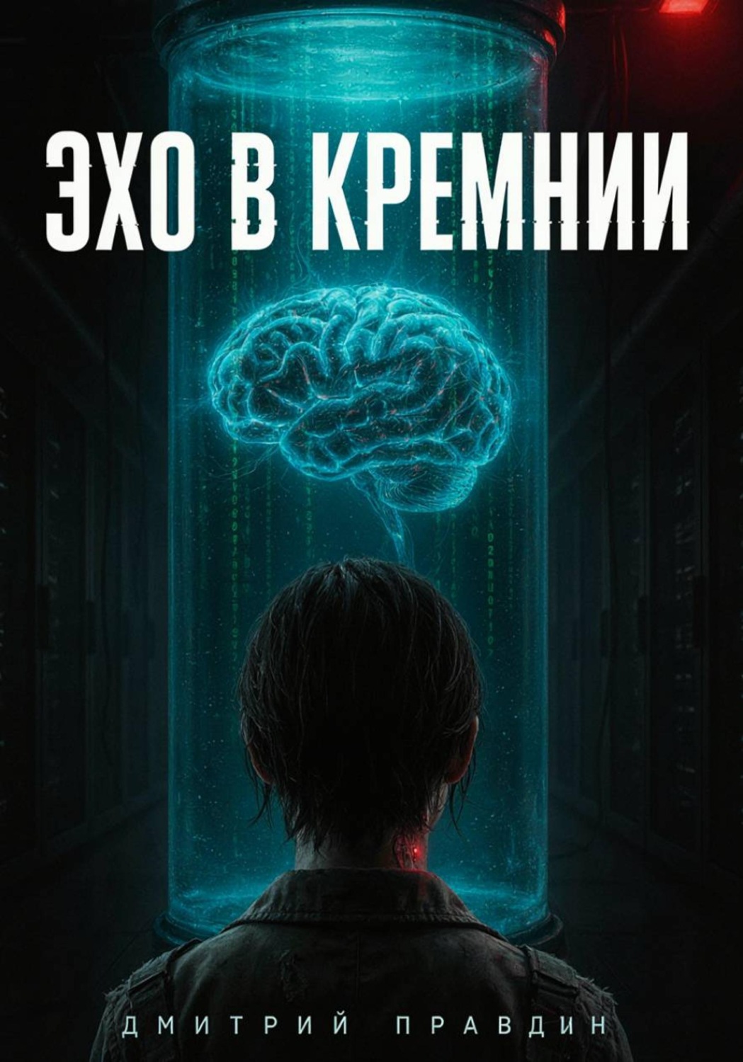 Обложка книги «ЭХО В КРЕМНИИ»