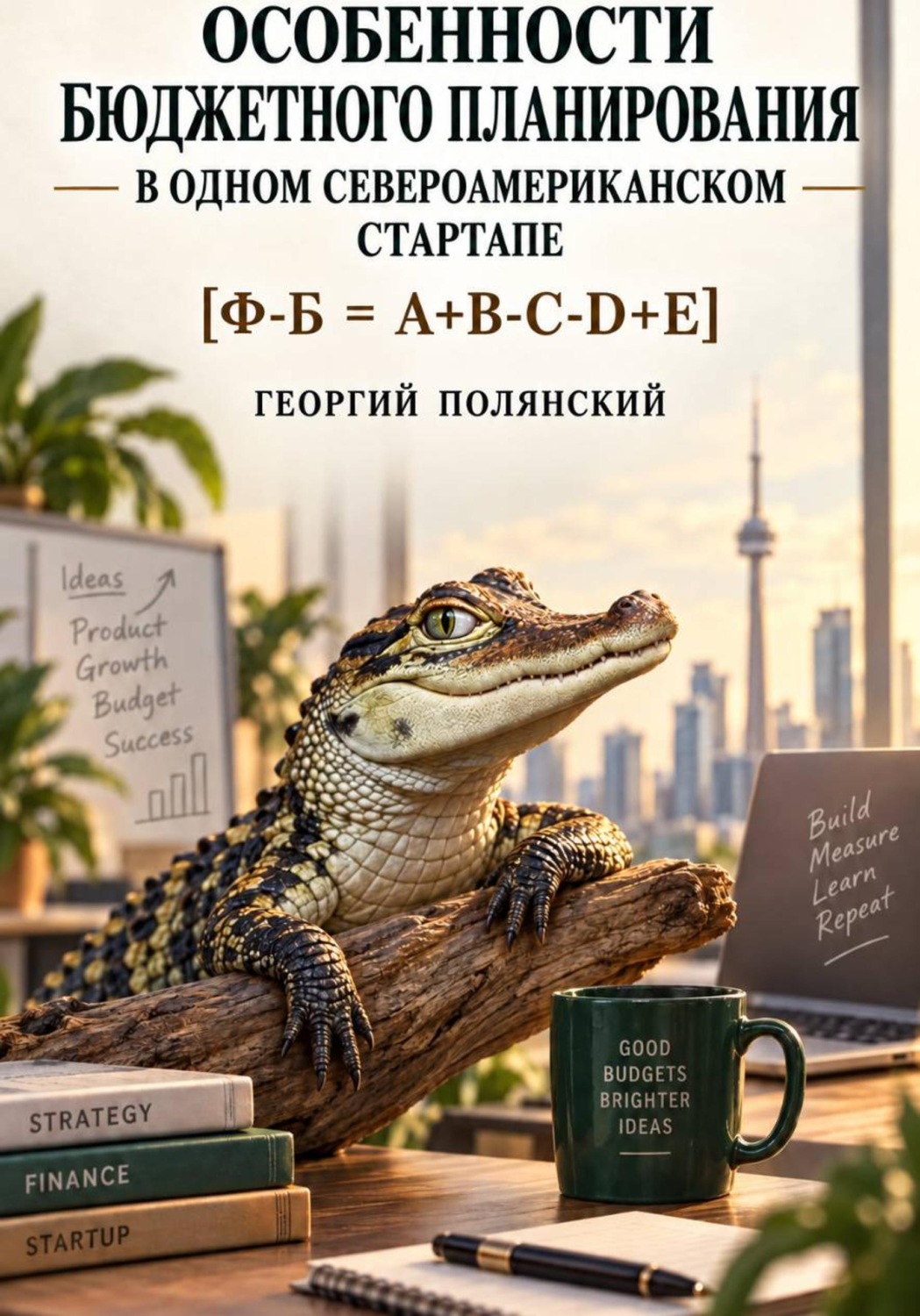 Обложка книги «Особенности бюджетного планирования в одном североамериканском стартапе»