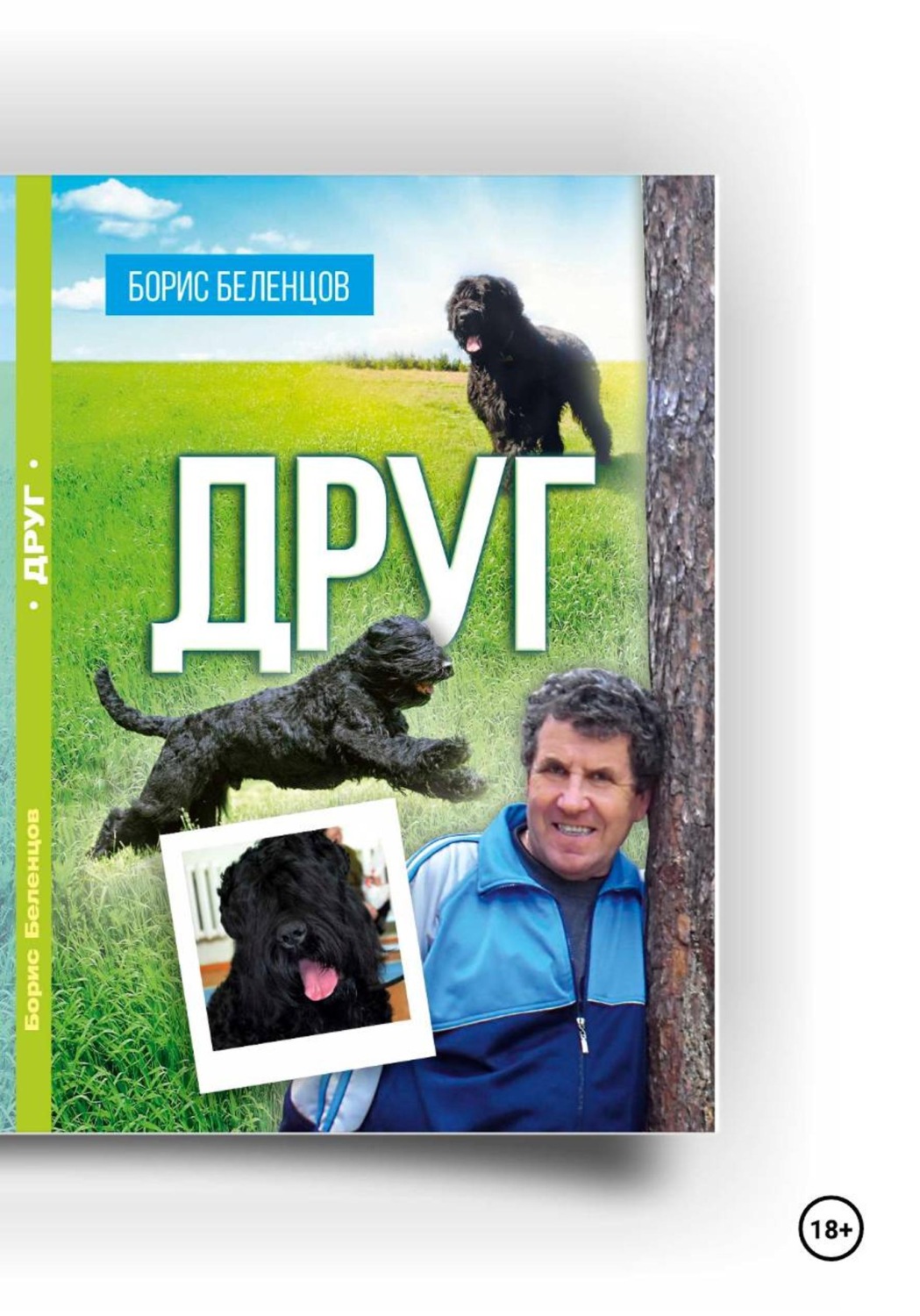 Обложка книги «Друг»