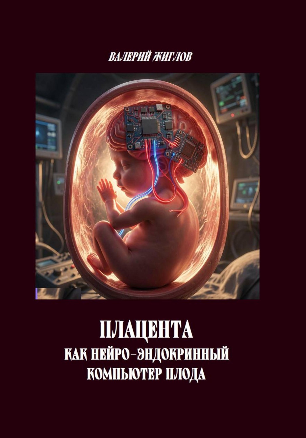 Обложка книги «Плацента как нейро-эндокринный компьютер плода»