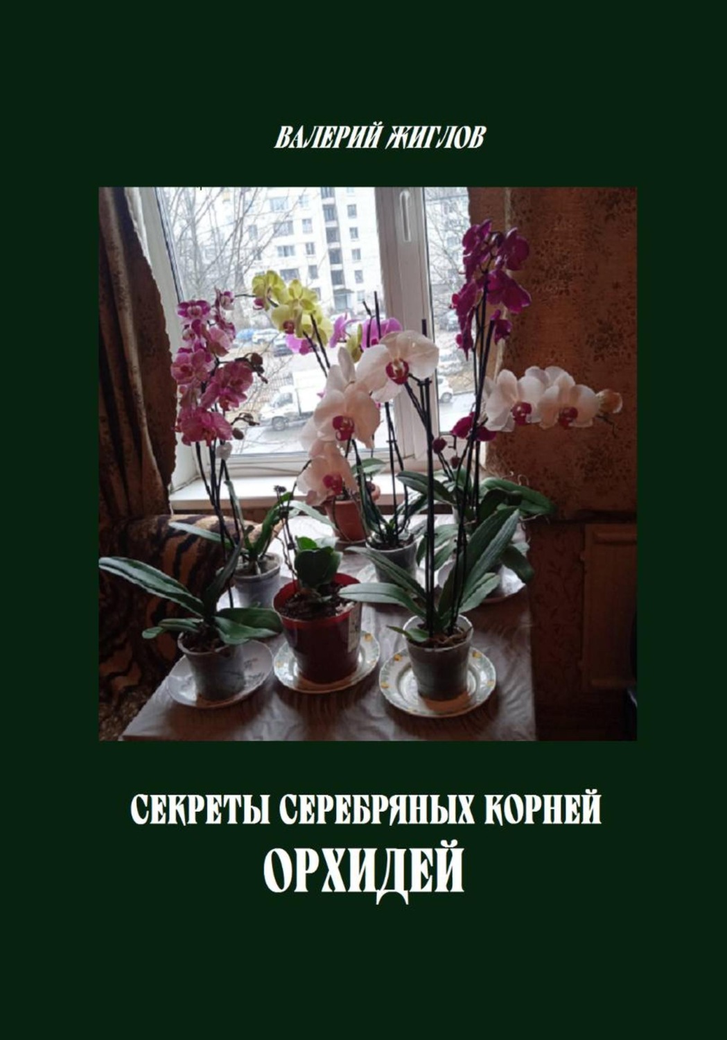 Обложка книги «Секреты серебряных корней орхидей»