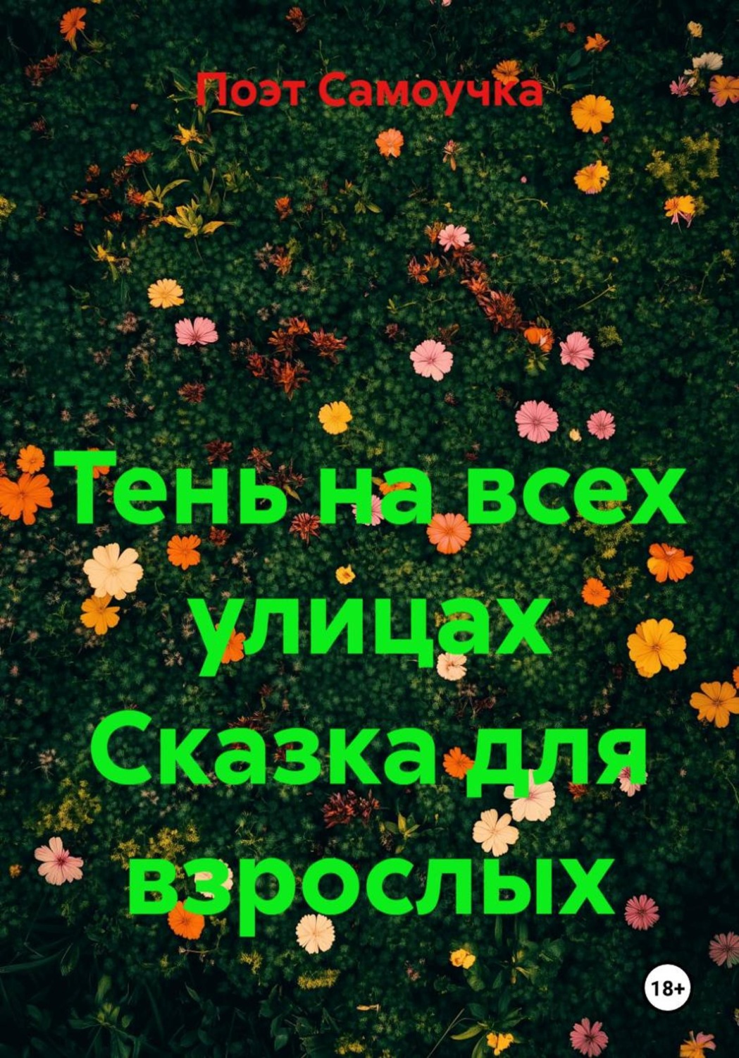Обложка книги «Тень на всех улицах Сказка для взрослых»