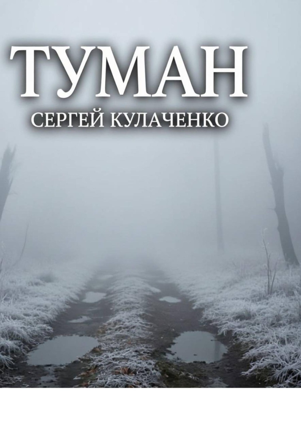 Обложка книги «Туман»