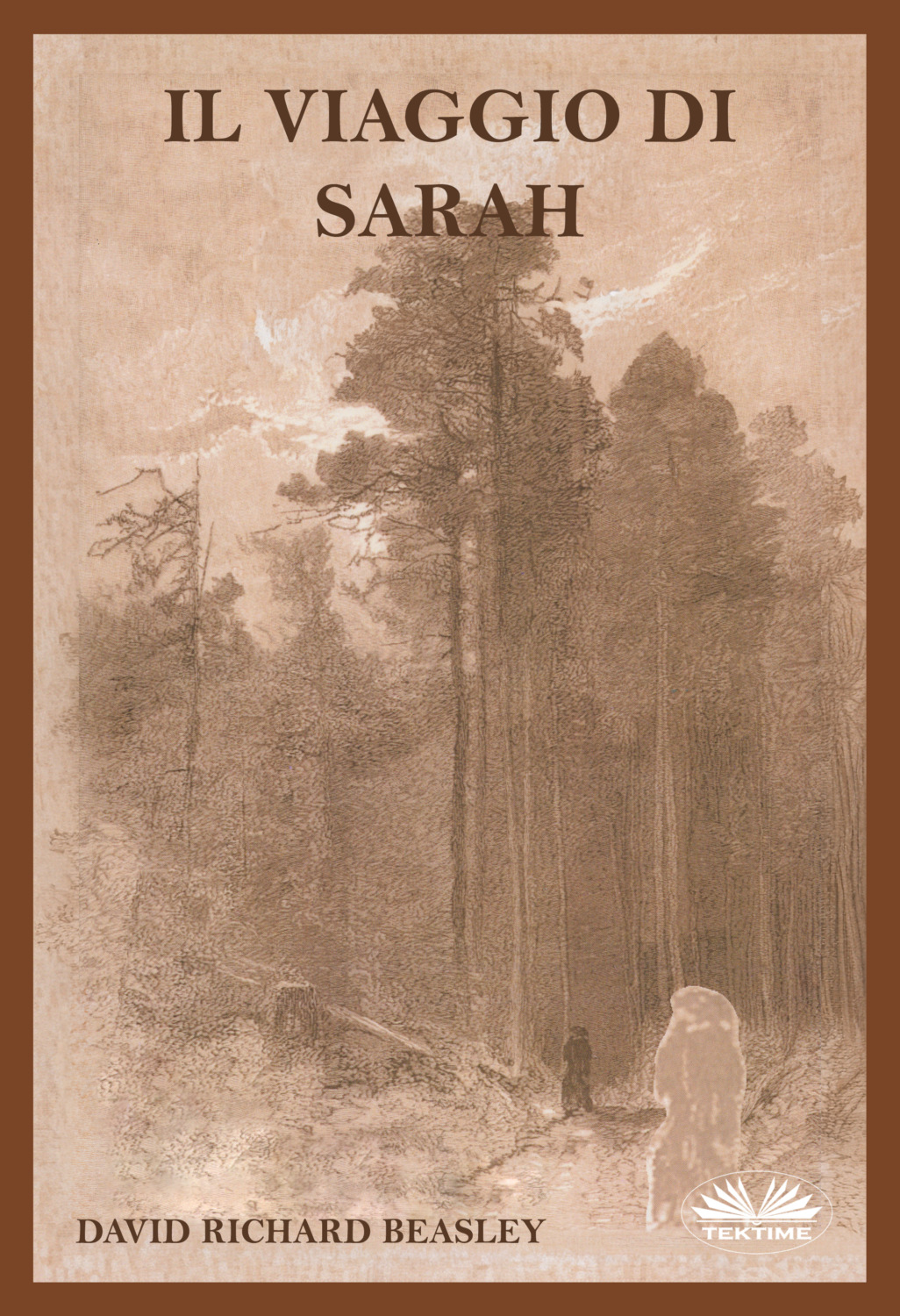 Обложка книги «Il Viaggio Di Sarah»