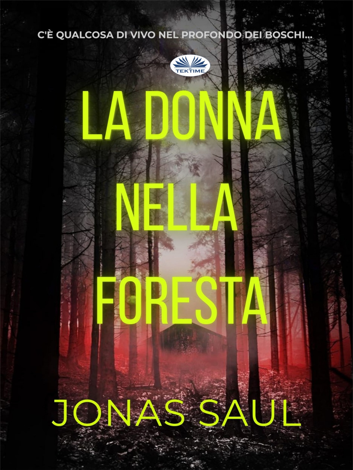 Обложка книги «La Donna Nella Foresta»