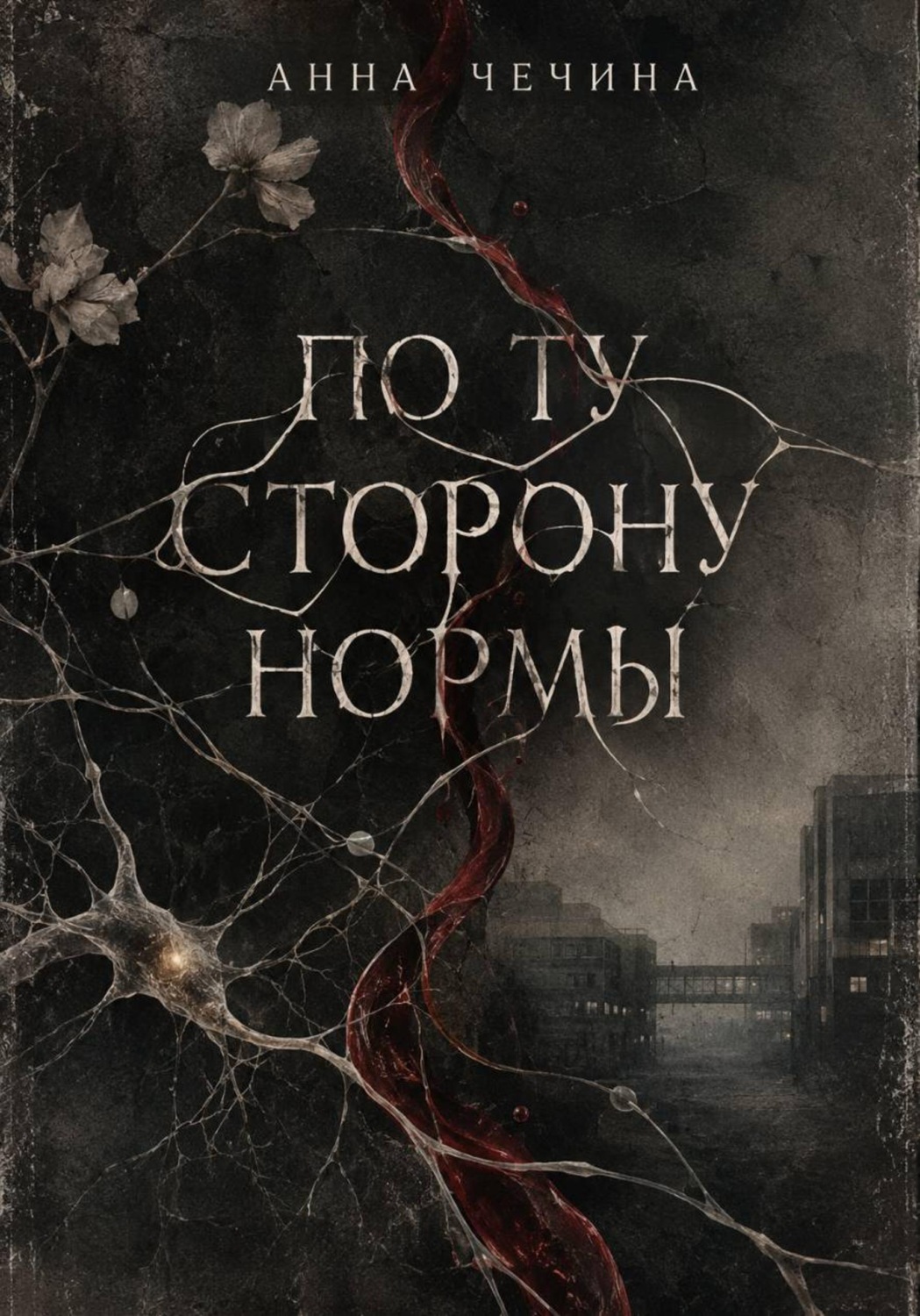 Обложка книги «По ту сторону нормы»