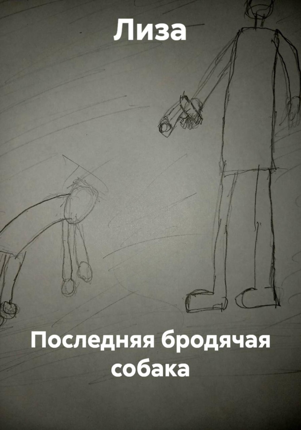 Обложка книги «Последняя бродячая собака»